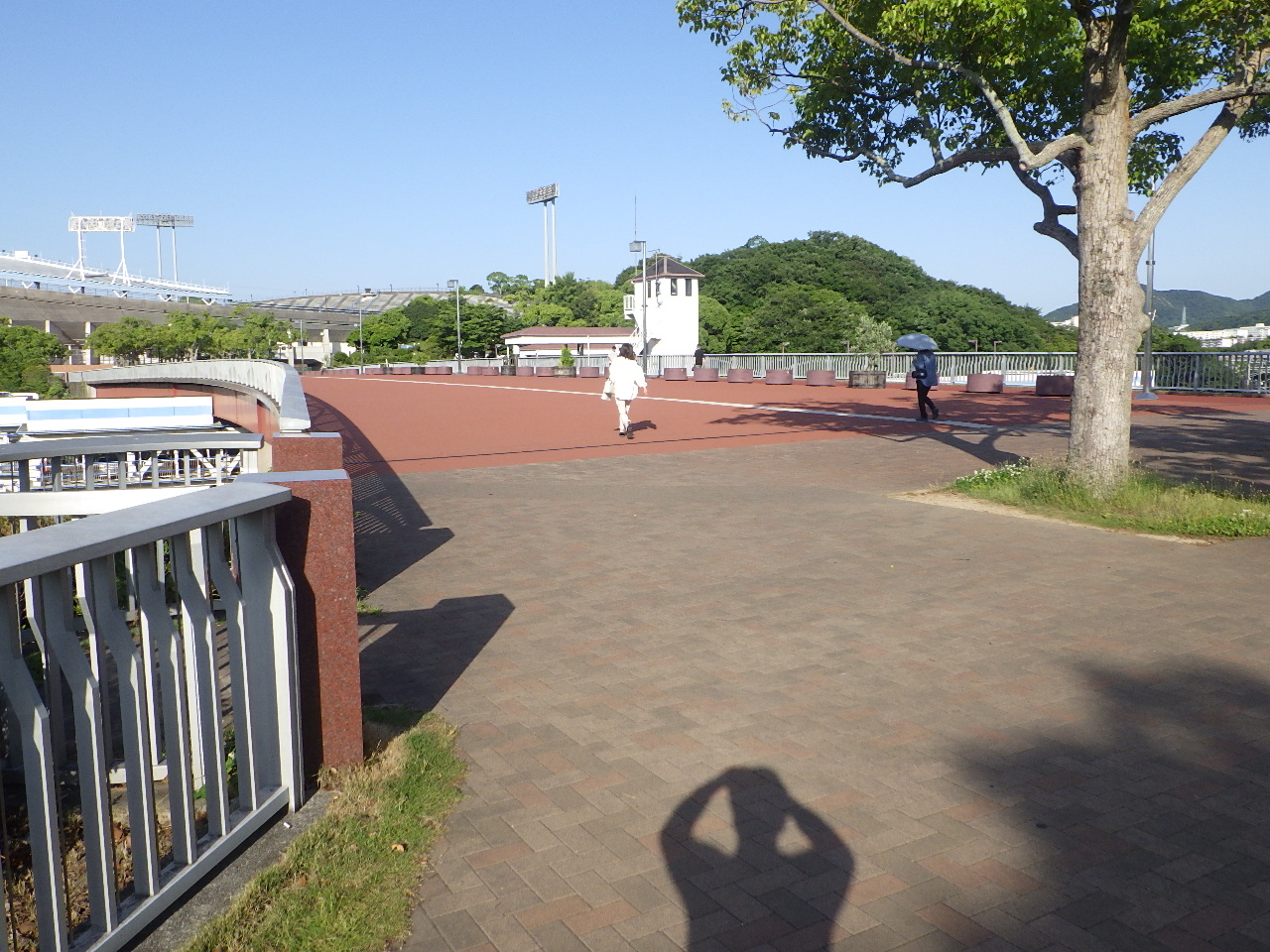 神戸総合運動公園中央橋伸縮装置取替工事