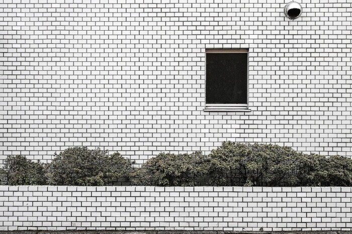 建物の印象がアップ！外壁洗浄・外構周りの洗浄のすすめ